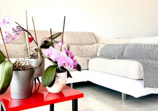 Appt 2 bd-4 pers-Pool wifi Tennis Park-Sea view - 6