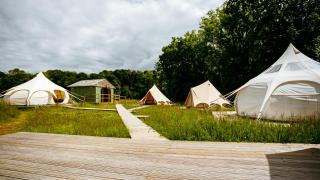 Luxury Glamping Retreat in Battle - Battle - 9