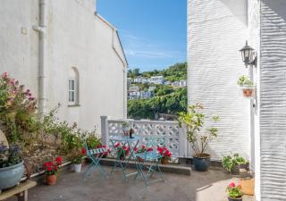 Sea Aster - Looe - 7
