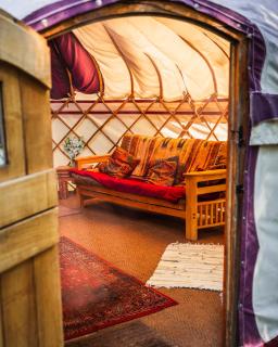 Woodland Yurt at Kingsmead - 6