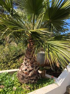 Babo Apartments - Hvar - 9
