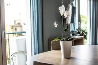 Park view apartment in Chalandri - Athènes - 1