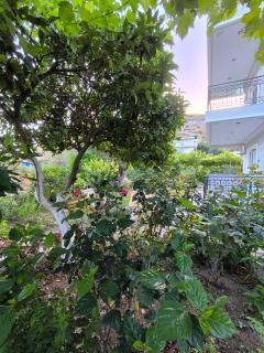 Vaya Guesthouse - Qeparo - 3