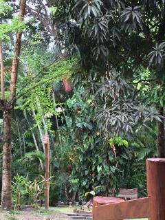 Vila Sofia chalès - 6