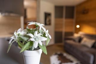 Studio haut de gamme Contamines - Les Contamines-Montjoie - 6