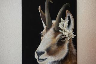 Studio haut de gamme Contamines - Les Contamines-Montjoie - 3