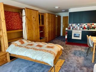 Alpine Studio Apartment - Maloja - 8
