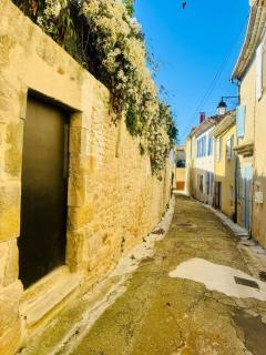"Le Clos De Gajan" Between Camargue and Cévennes - 7