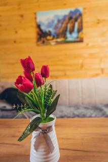 Apartman Djole - 8