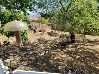 Quiet in Clarkdale - Clarkdale - 3
