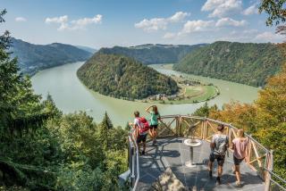 Riverresort Donauschlinge - Haibach ob der Donau - 7
