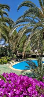 Apartamento Buganvilla Pool - 0