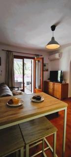 La casa de las Palmeras - 5