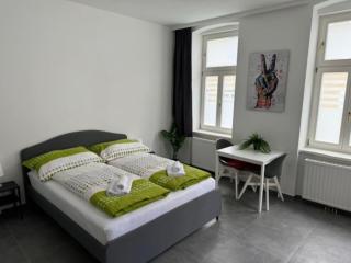 Klein aber Fein mit Terrasse - Vienna - 8