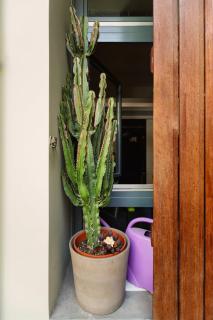 NEWWWWW THISSEION LOFTS GEORGE - Atene - 1