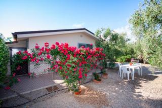 Agrimare I Pavoni - 9