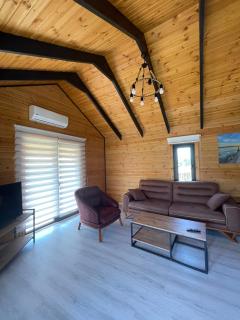 Havuzlu Lake House kayacık - 4