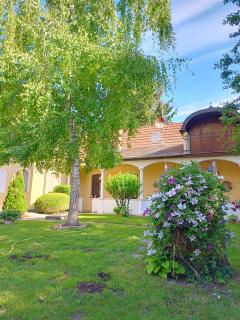 Kúria apartman - Hurbanovo - 7
