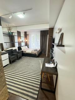 RentNow Business ApartStudio in Centre - Chişinău - 2