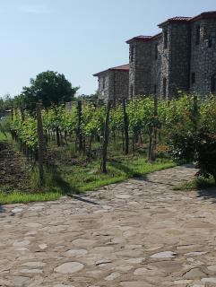 Chateau Tetri Bairagebi White Flags - Kisiskhevi - 7