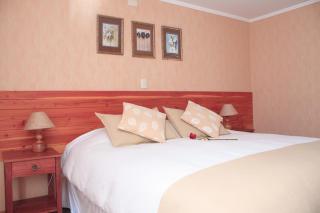 Hotel Borde Lago - Puerto Varas - 9