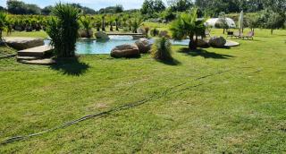Le Mas des Cerisiers JACUZZI et SAUNA inclus pour tous les logements - Avignon - 9