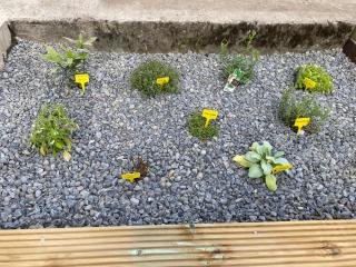 My Little house - Stavelot - 9