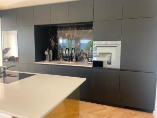 Luxury, quiet flat overlooking Zurich - 1
