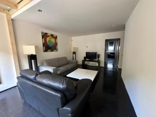 Spacious Karlin Lofty Apartment - Prague - 8