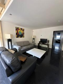Spacious Karlin Lofty Apartment - Prague - 6