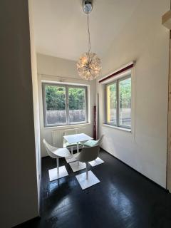 Spacious Karlin Lofty Apartment - Prague - 9