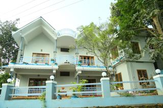 Munnar Blue Mist - 8