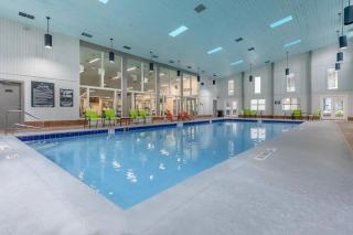 Green Oasis Stylish 1BR Retreat near Medical Center - San Antonio - 7