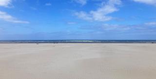 Rooftop terrasse vue phare et mer - Berck-sur-Mer - 0