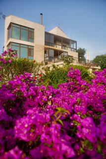 Jasmine Villa - Batroûn - 0