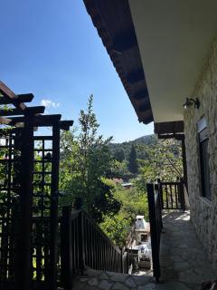 House in the Forest - Písia - 6