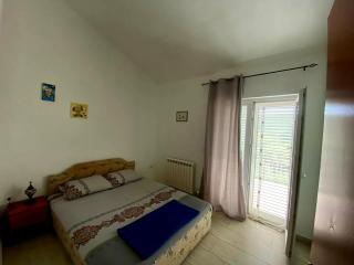 Apartmani Trašte - 1