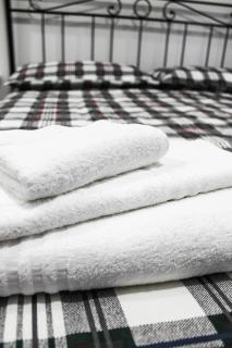 Silver Rose Guest House - Rome - 3