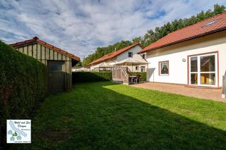 Wald und See Dargun 31A - Dargun - 9