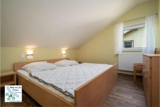 Wald und See Dargun 31A - Dargun - 6
