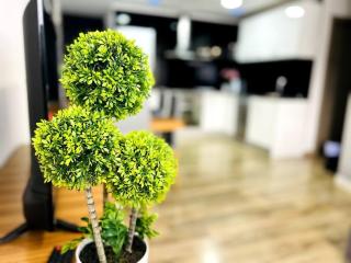 Precioso apartamento a 25m de la playa - Jávea - 6