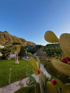 Resort Villa Flavio - Ischia - 4