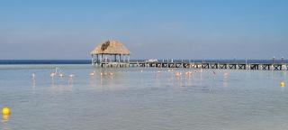 HOLBOX PUERTA DEL MAR - Isola Holbox - 7