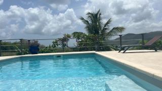 Magnifique villa piscine vue mer à 180 - Sainte-Anne - 1