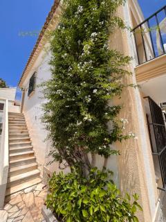 Mar Mediterráneo Vera Playa - 4