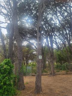 Bekker's Lodge - Gordonʼs Bay - 1