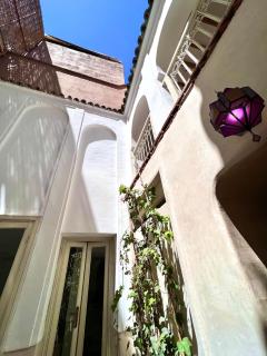 Riad Nejma - 8