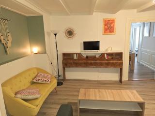 Charmant et spacieux appartement au centre ville - La Bohème - Mulhouse - 7