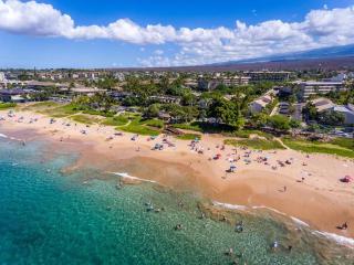 Chic Condo steps from White Sandy Beach Fast Wi-Fi - Wailea - 0