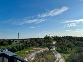 Upscale Modern Hill Country Home! Has it ALL! - 1